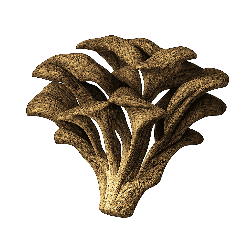 Maitake mushroom